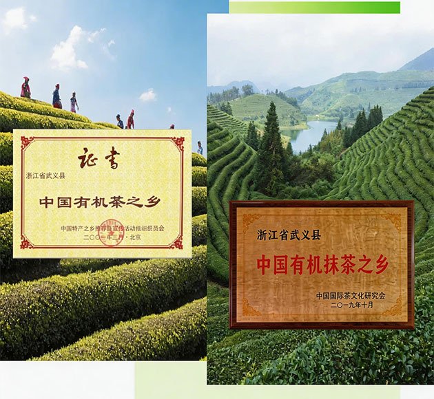 MUMORI-WuYi-Matcha-Hometown-of-Organic-Tea-Organic-Matcha-wholesale