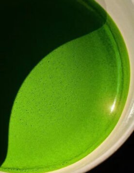Home Alternative-energy 12 ceremonial grade matcha powder for pure drinking smooth vibrant green