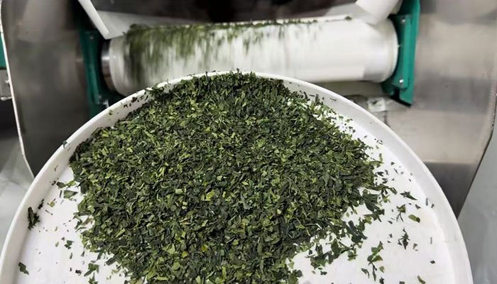 China vs Japan Matcha: What Buyers Need to Know 9 china matcha manufacturer full production process