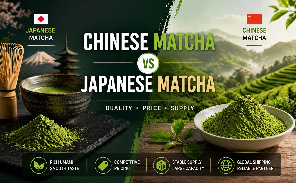 Home Alternative-energy 31 china vs japan matcha sourcing comparison for business buyers