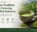 matcha explained from tradition to a growing global industry WUMORI
