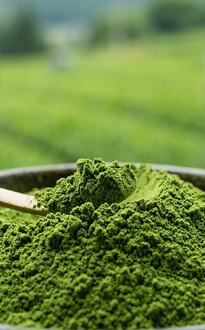 About us 2 matcha powder manufacturer supplier WUMORI