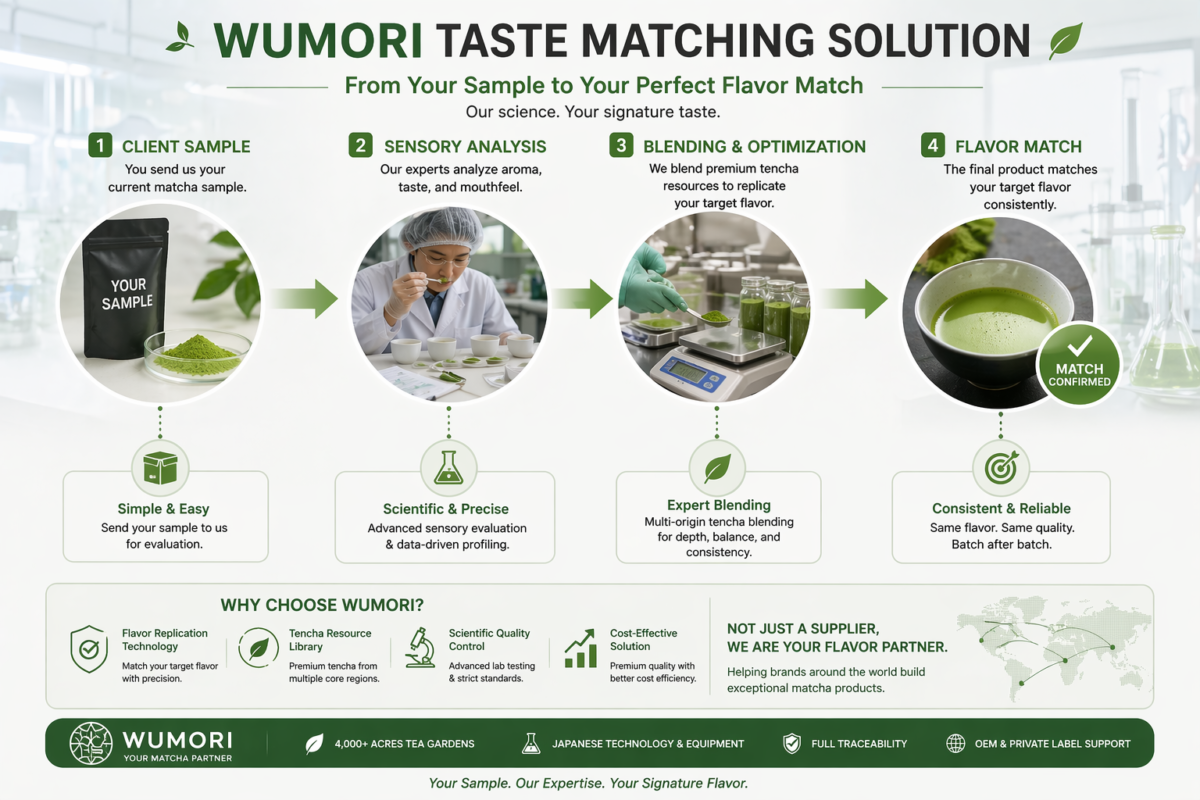 China vs Japan Matcha: What Buyers Need to Know 5 matcha taste matching process wumori