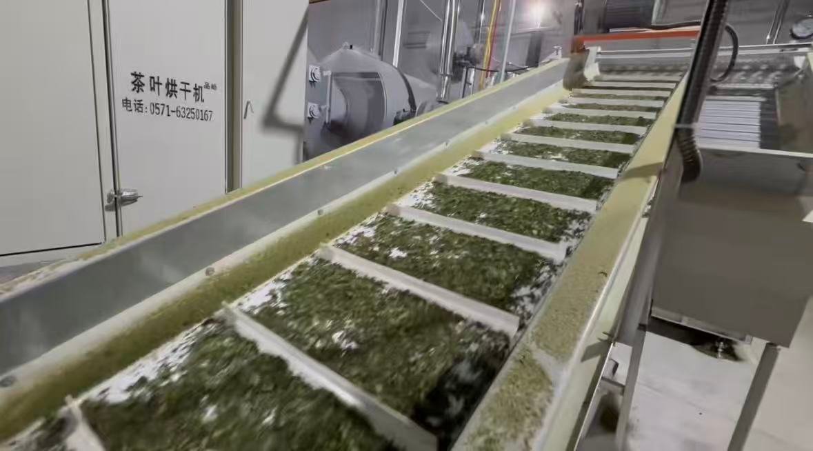 How to Choose High-Quality Matcha for Your Business 7 matcha tencha production line
