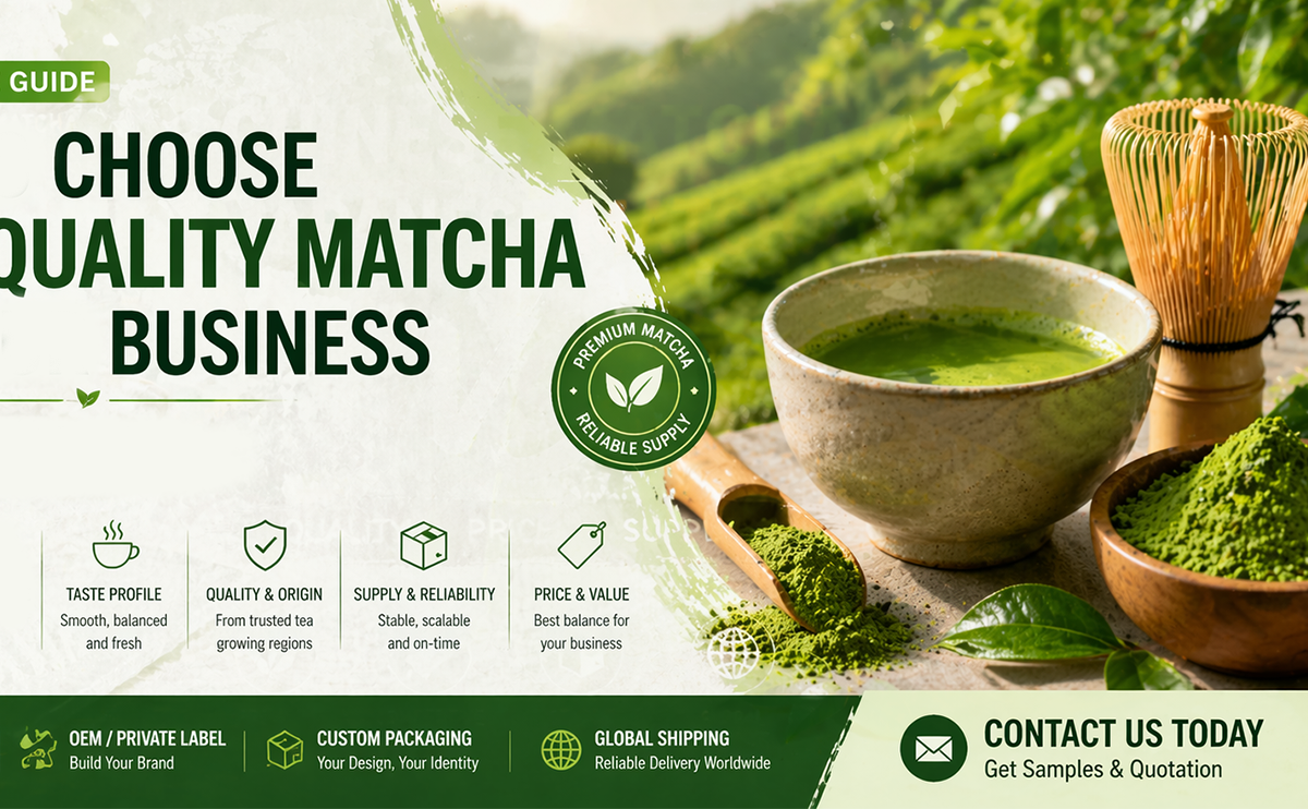 Home Alternative-energy 29 How to choose high quality matcha for business sourcing and bulk supply