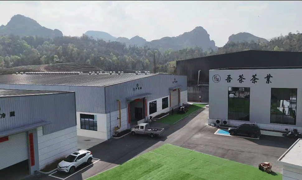 Home Alternative-energy 6 integrated matcha production for global supply